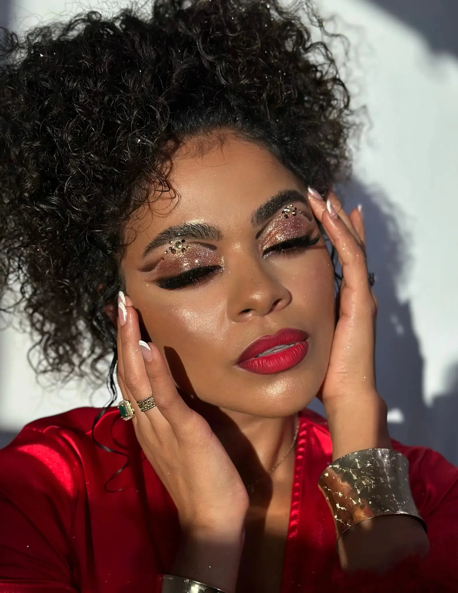 #09 Silver Red Eyeshadow Glitter