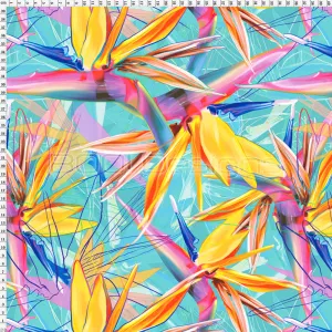 Spandex Bird of Paradise Sky