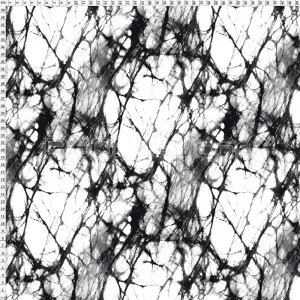 Spandex Black Web